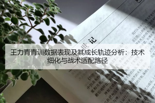 wang-li-qing-qing-xun-shu-ju-biao-xian-ji-qi-cheng-zhang-gui-ji-fen-xi-ji-shu-xi-hua-yu-zhan-shu-shi-pei-lu-jing-2-355.jpg