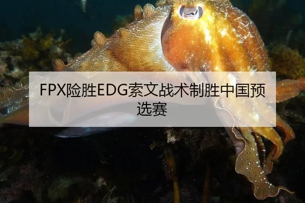 FPX险胜EDG索文战术制胜中国预选赛