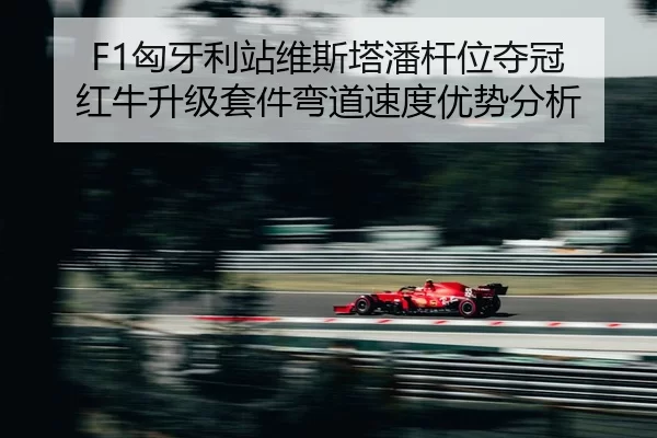xiong-ya-li-zhan-wei-si-ta-pan-gan-wei-duo-guan-hong-niu-sheng-ji-tao-jian-wan-dao-su-du-you-shi-fen-xi-2-492.jpg