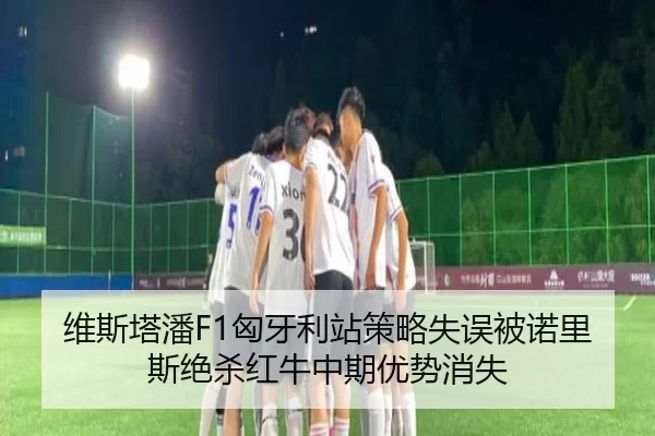 维斯塔潘F1匈牙利站策略失误被诺里斯绝杀红牛中期优势消失