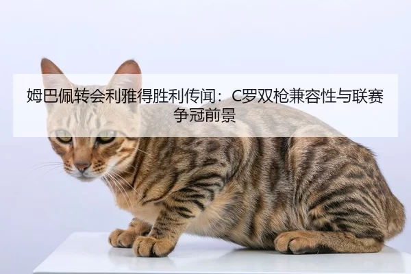 mu-ba-pei-zhuan-hui-li-ya-de-sheng-li-chuan-wen-luo-shuang-qiang-jian-rong-xing-yu-lian-sai-zheng-guan-qian-jing-2-380.jpg